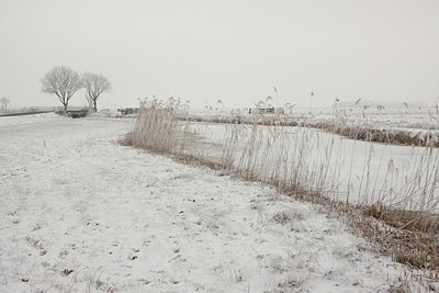 BUITEN BEELD Foto: 195009