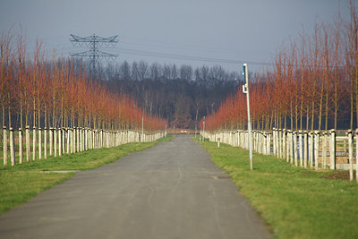 BUITEN BEELD Foto: 195060