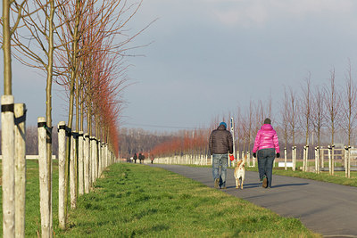 BUITEN BEELD Foto: 195062