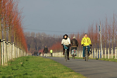 BUITEN BEELD Foto: 195063
