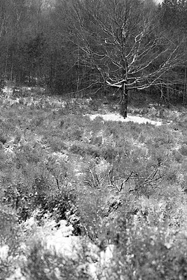 BUITEN BEELD Foto: 195630