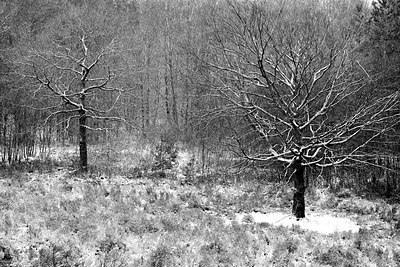BUITEN BEELD Foto: 195631