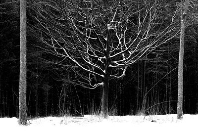 BUITEN BEELD Foto: 195643