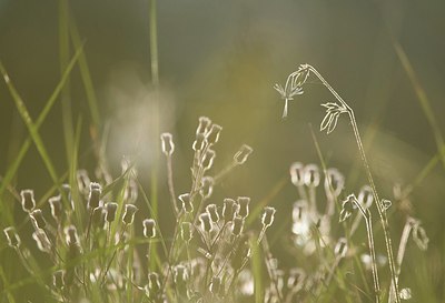 BUITEN BEELD Foto: 195714