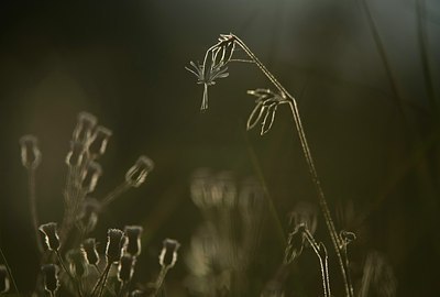 BUITEN BEELD Foto: 195715