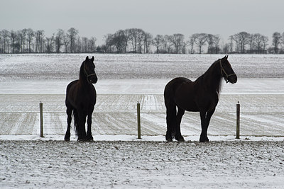 BUITEN BEELD Foto: 195789