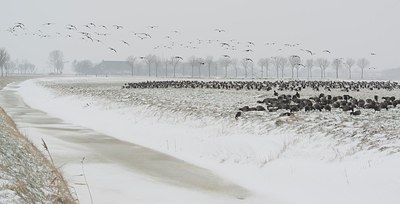 BUITEN BEELD Foto: 195869