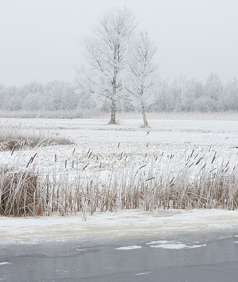 BUITEN BEELD Foto: 195872