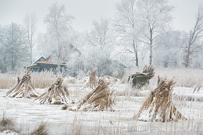 BUITEN BEELD Foto: 195873