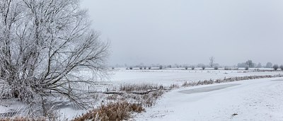 BUITEN BEELD Foto: 195900