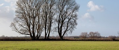 BUITEN BEELD Foto: 196060