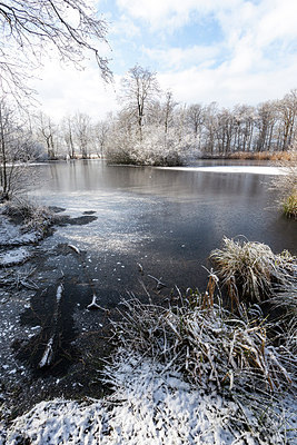 BUITEN BEELD Foto: 196234