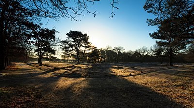 BUITEN BEELD Foto: 196273