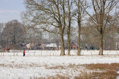 BUITEN BEELD Foto: 196281