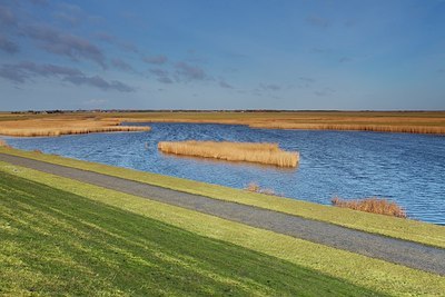 BUITEN BEELD Foto: 196369