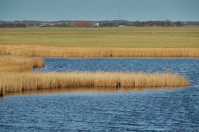 BUITEN BEELD Foto: 196370