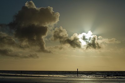 BUITEN BEELD Foto: 196375