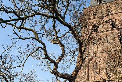 BUITEN BEELD Foto: 196508