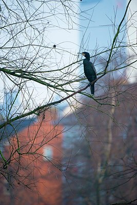 BUITEN BEELD Foto: 196712