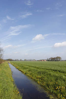 BUITEN BEELD Foto: 197215