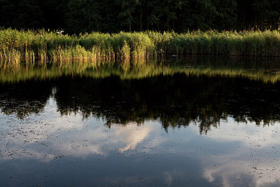 BUITEN BEELD Foto: 197347