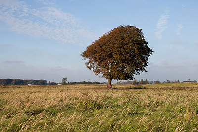 BUITEN BEELD Foto: 197350