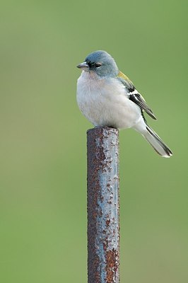 BUITEN BEELD Foto: 197423