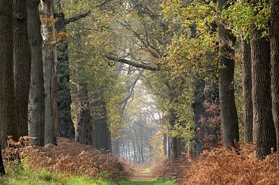 BUITEN BEELD Foto: 197442
