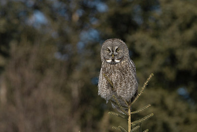 BUITEN BEELD Foto: 197645