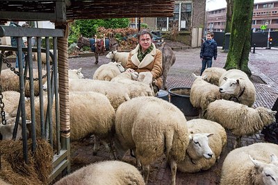 BUITEN BEELD Foto: 197985