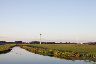 BUITEN BEELD Foto: 198251