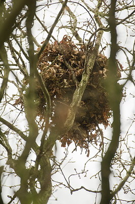 BUITEN BEELD Foto: 198384