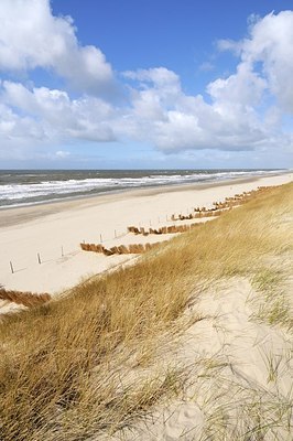 BUITEN BEELD Foto: 198491