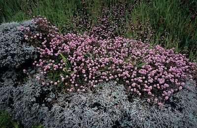BUITEN BEELD Foto: 198528