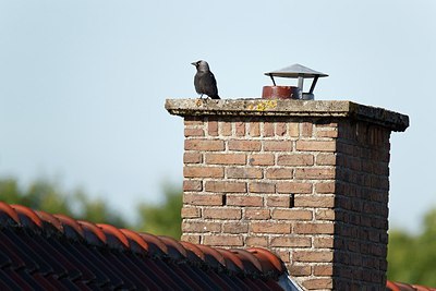BUITEN BEELD Foto: 198886