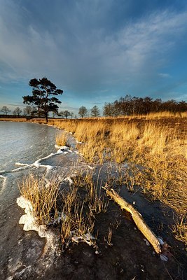 BUITEN BEELD Foto: 198972