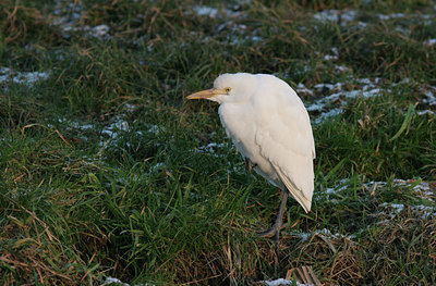 BUITEN BEELD Foto: 1012