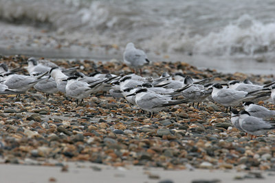 BUITEN BEELD Foto: 1096