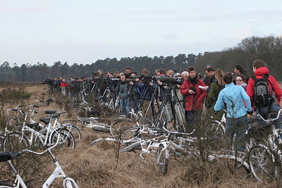 BUITEN BEELD Foto: 1318