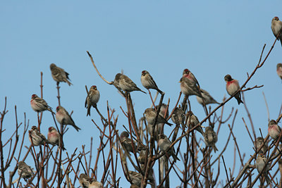 BUITEN BEELD Foto: 1361