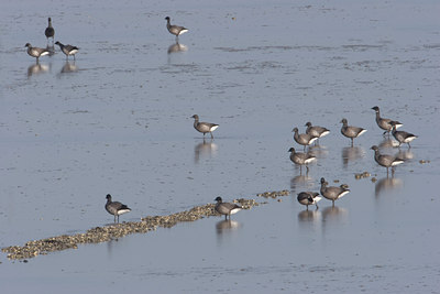BUITEN BEELD Foto: 1392