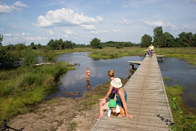 BUITEN BEELD Foto: 1485