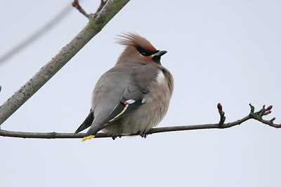 BUITEN BEELD Foto: 1498