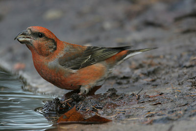 BUITEN BEELD Foto: 1544