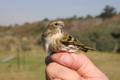 BUITEN BEELD Foto: 1647