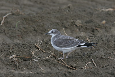 BUITEN BEELD Foto: 1653