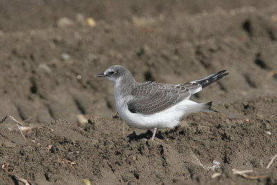 BUITEN BEELD Foto: 1654