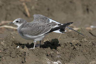 BUITEN BEELD Foto: 1655