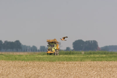 BUITEN BEELD Foto: 1662