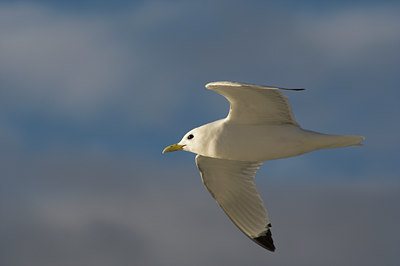 BUITEN BEELD Foto: 1740